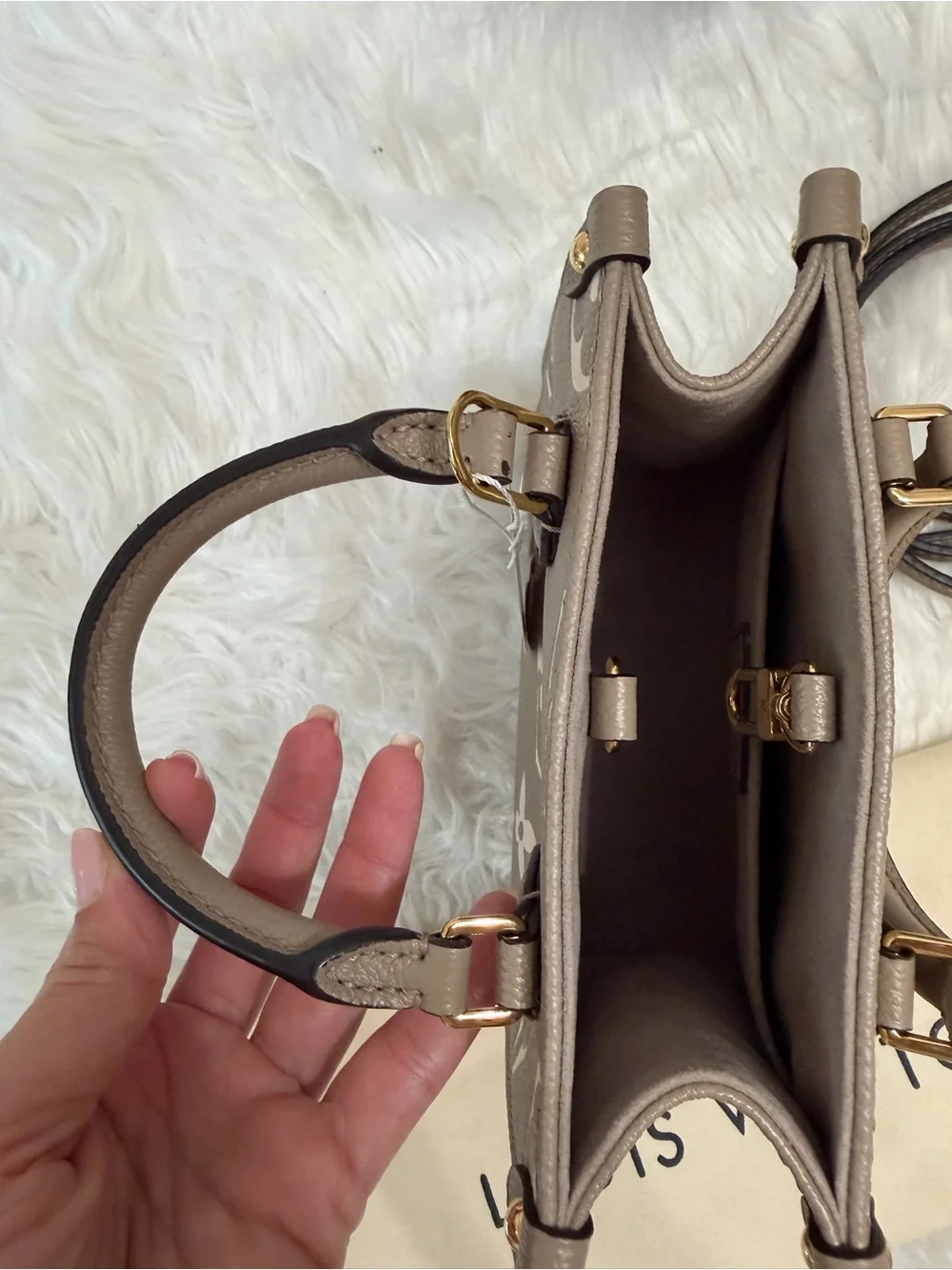 LOUIS VUITTON GIANT FELICIE ON THE GO BB BAG